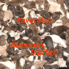 Minicover Klassentreffen