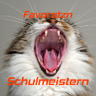 Minicover Schulmeistern